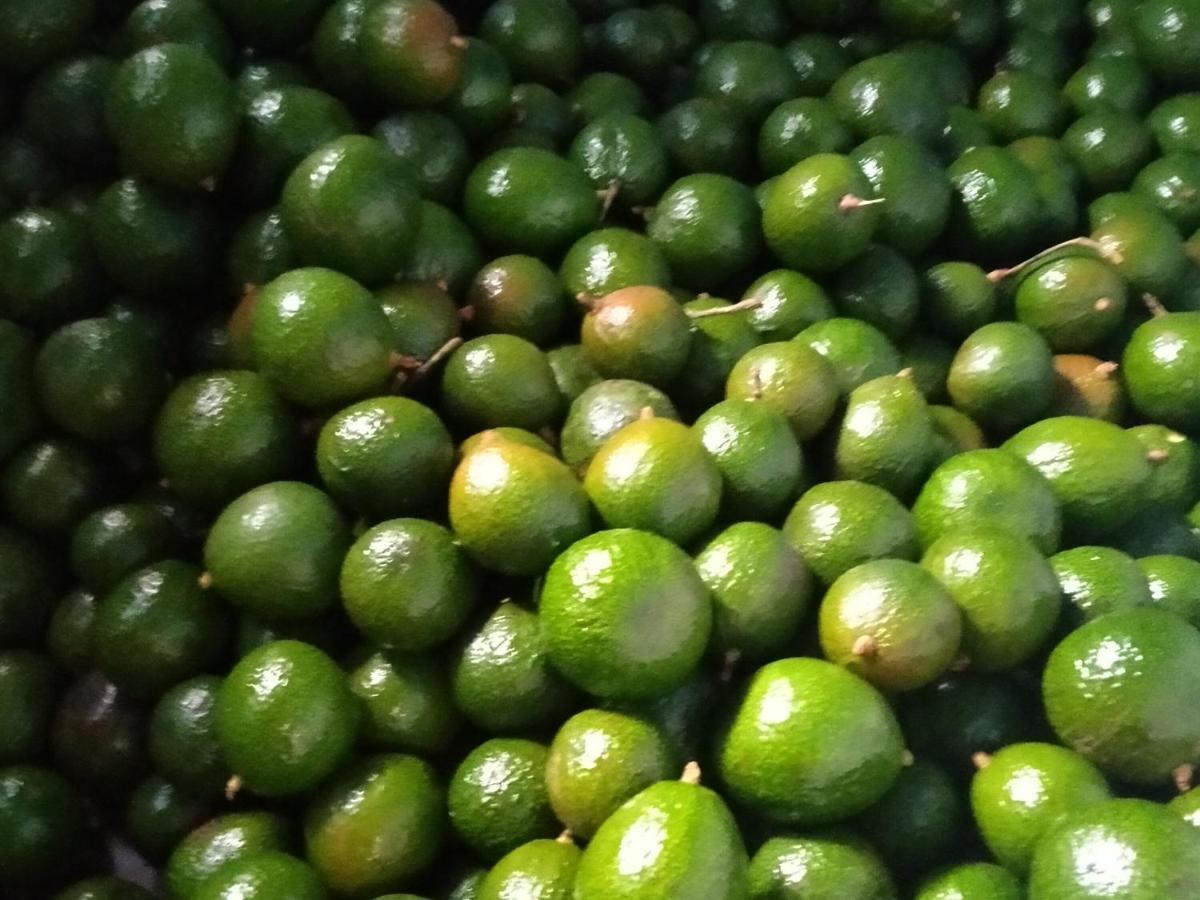 Mistletoe Homestay & Cafe Munnar Esterno foto