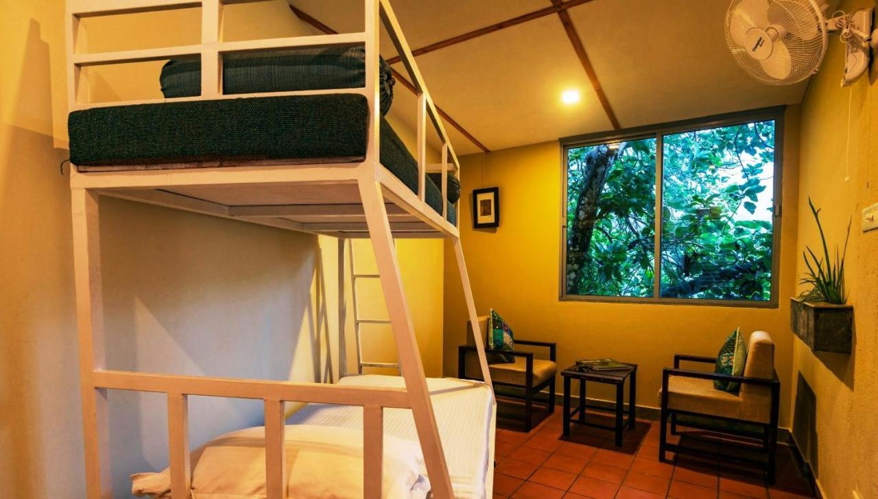 Mistletoe Homestay & Cafe Munnar Esterno foto
