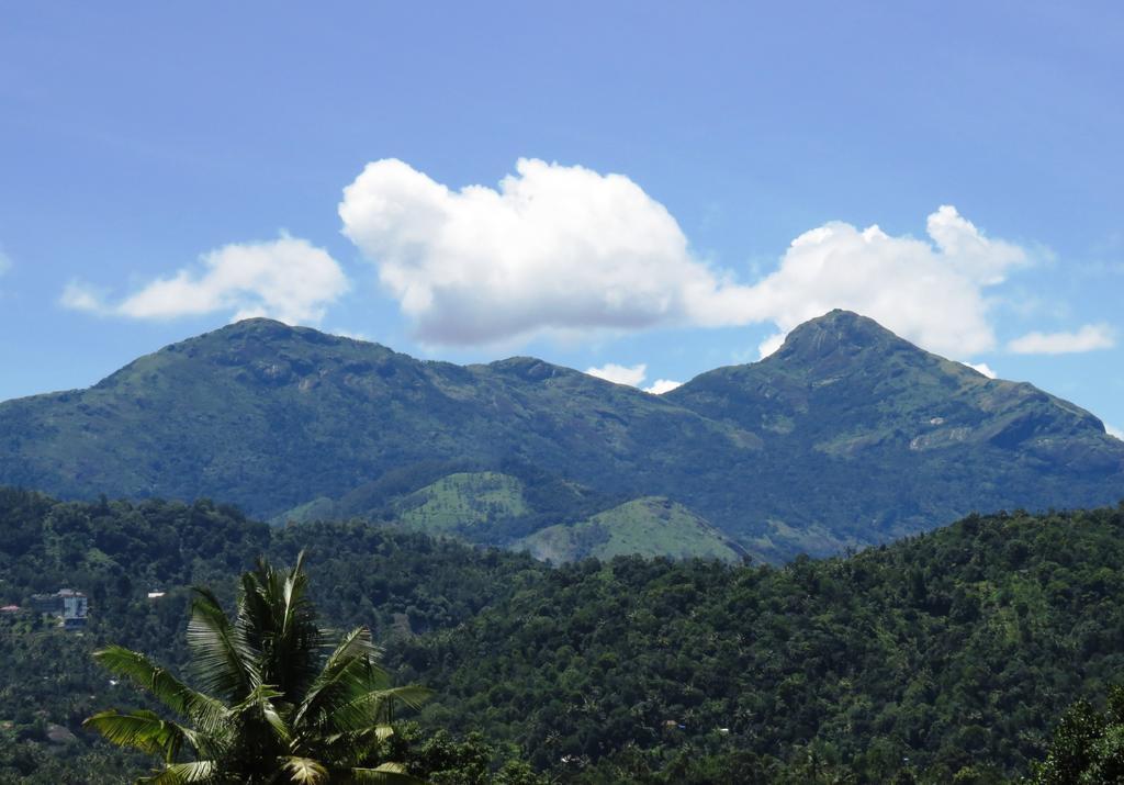 Mistletoe Homestay & Cafe Munnar Esterno foto