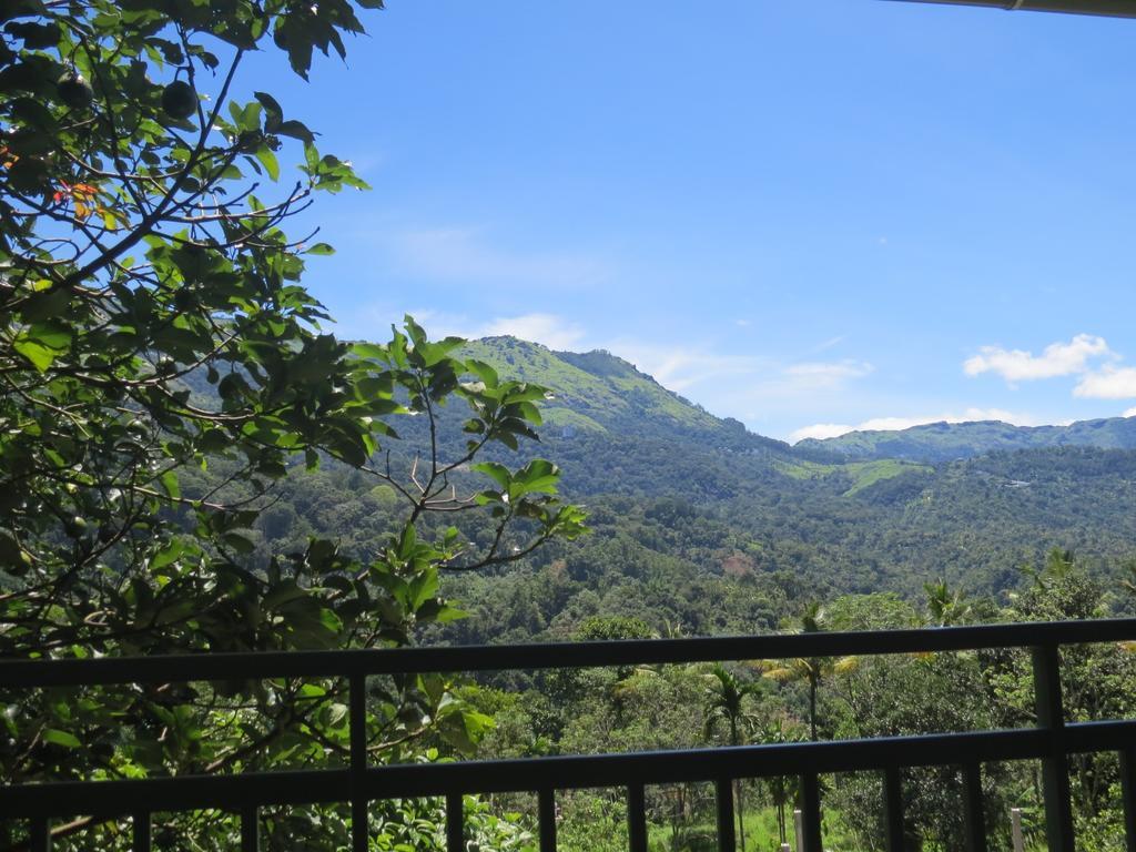 Mistletoe Homestay & Cafe Munnar Esterno foto