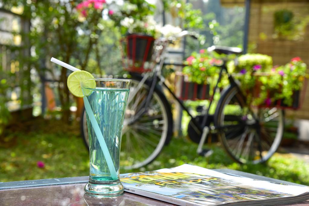 Mistletoe Homestay & Cafe Munnar Esterno foto