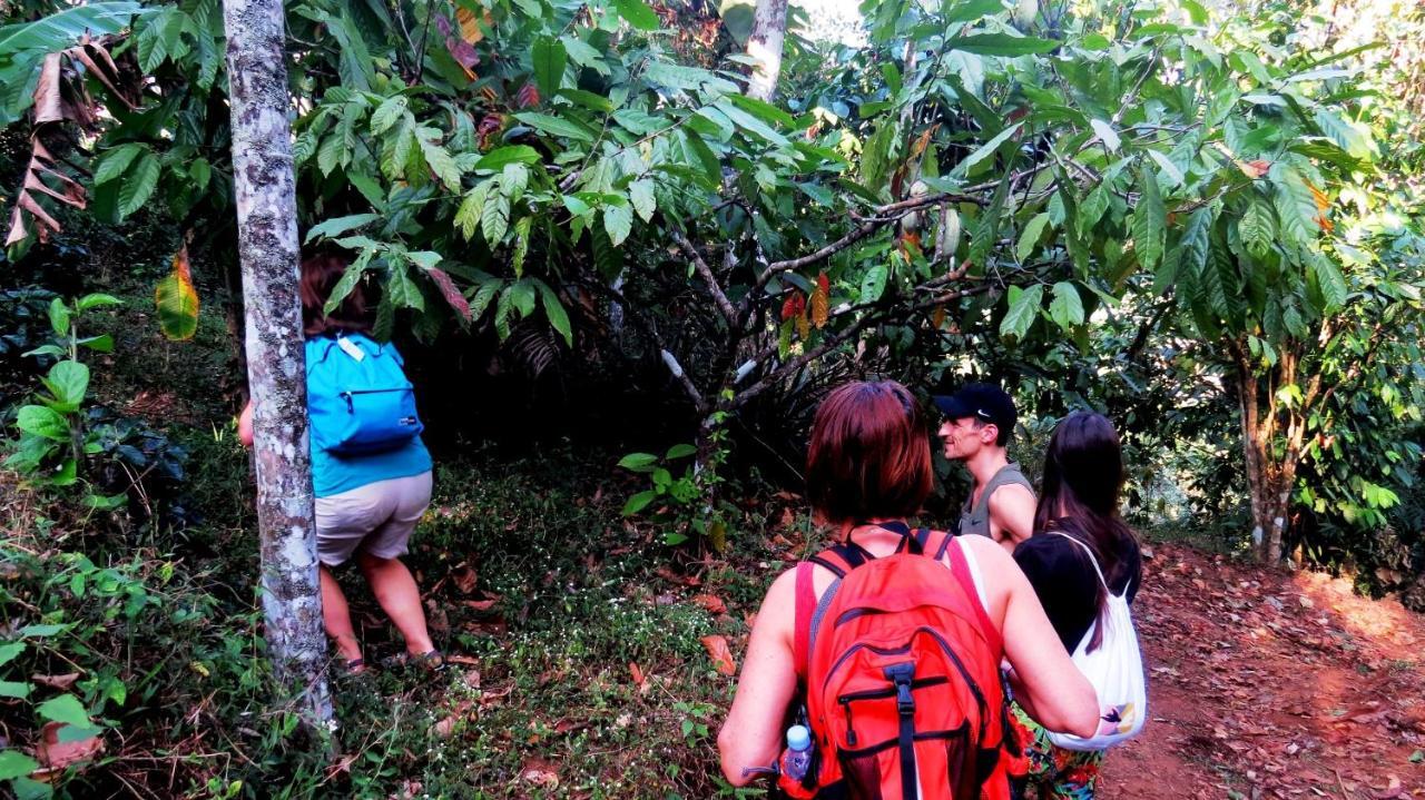 Mistletoe Homestay & Cafe Munnar Esterno foto